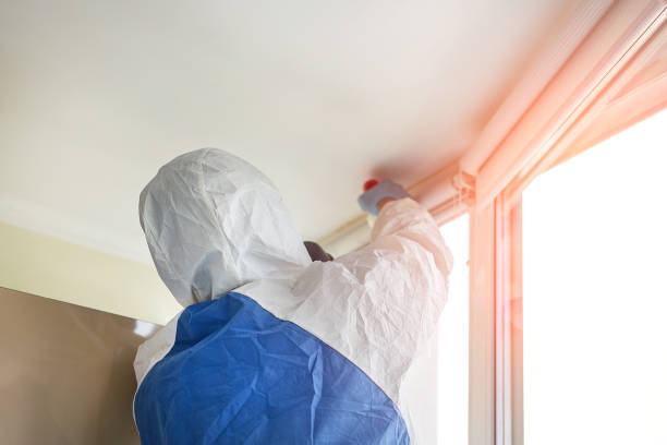 Best Mold Remediation for Vacation Homes  in USA